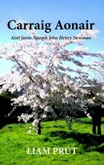 Carraig Aonair: Aistí faoin Naomh John Henry Newman