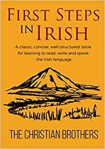 First Steps in Irish (eagrán nua/new Edition)