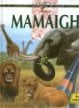Fuinneoga na Staire : Mamaigh