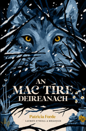 An Mac Tíre Deireanach