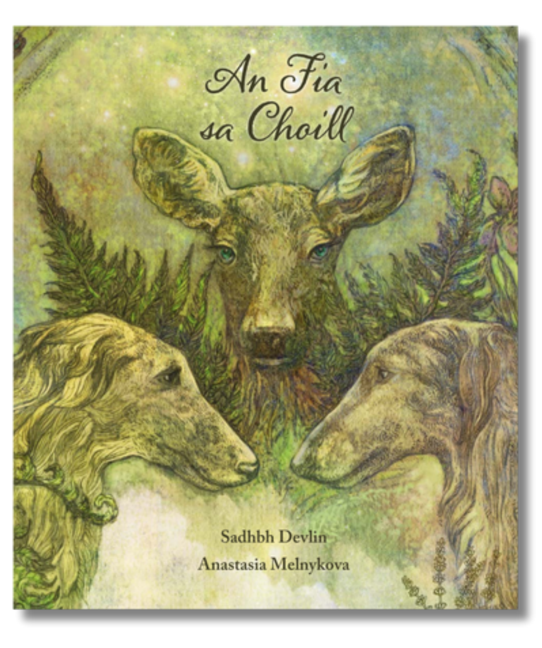 An Fia sa Choill